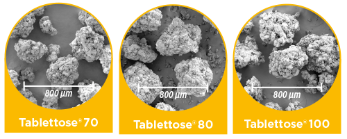 MEGGLE_agglomerated_lactose grades MEGGLE_agglomerated_lactose grades