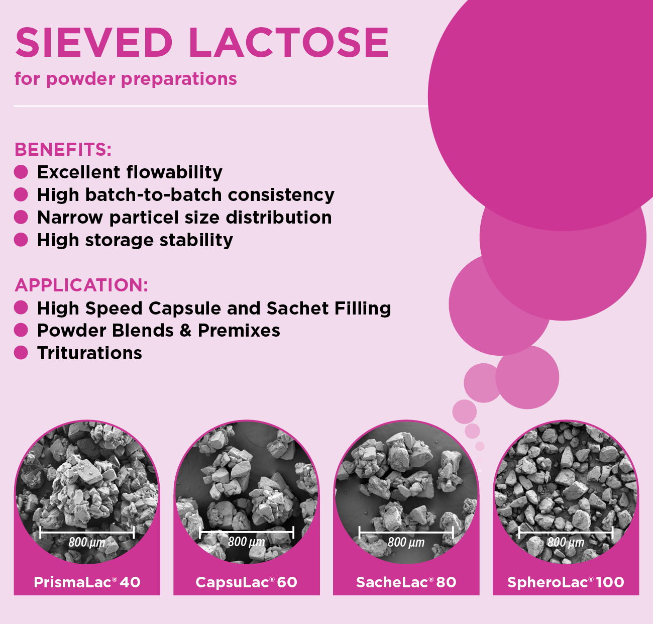 Sieved Lactose - Powder Preparations - Excipients from MEGGLE