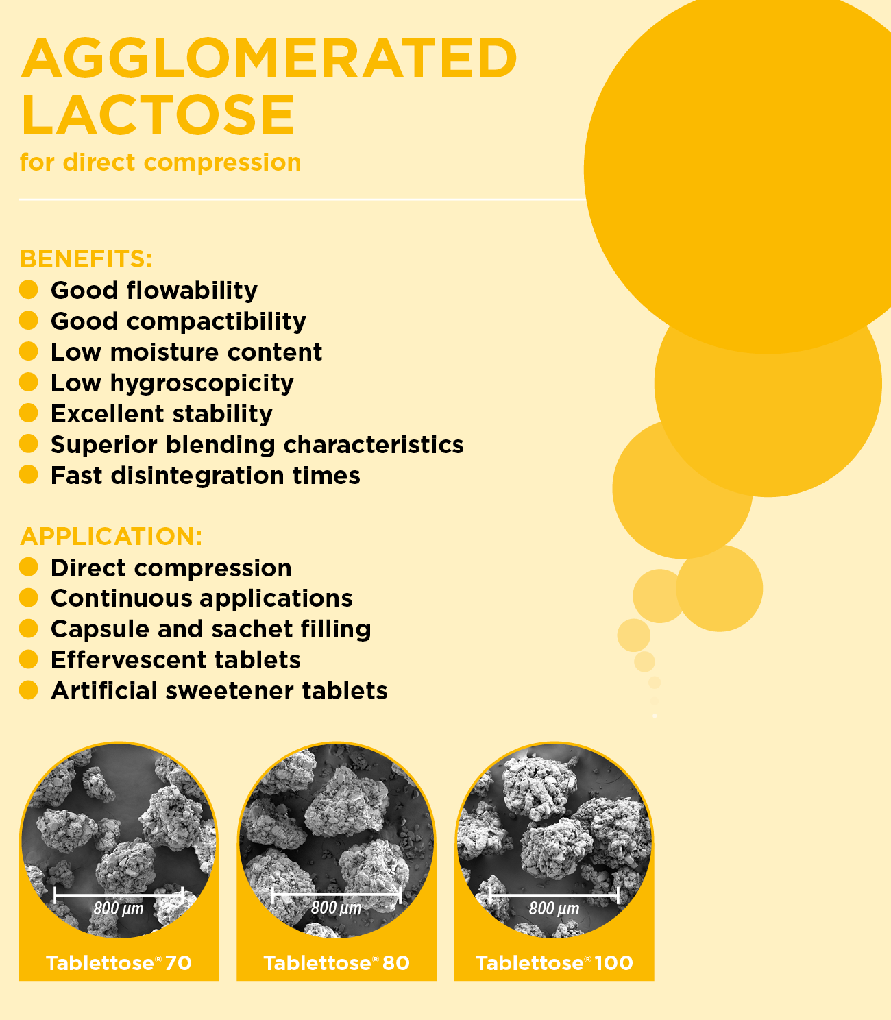 Agglomerated Lactose Benefits and Applications