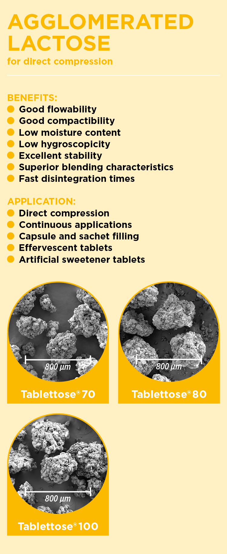 Agglomerated Lactose Benefits and Applications